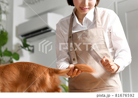 犬(ペット)のトリミングをするトリマーの若い女性 犬(ペット)のトリミングをするトリマーの若い女性 81676592
