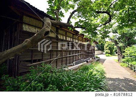 散歩道にある歴史ある壁 81678812