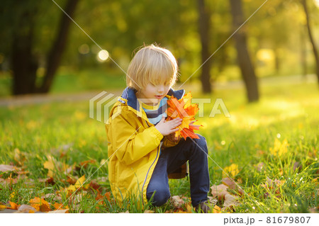 Little boy having fun during stroll in the forest at sunny autumn day. Child playing maple leaves. Active family time on nature. Hiking with little kids. Little boy having fun during stroll in the forest at sunny autumn day. Child playing maple leaves. Active family time on nature. Hiking with little kids. 81679807
