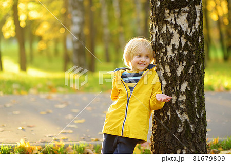 Little boy having fun during stroll in the public park with birch trees at sunny autumn day. Active family time on nature. Hiking with little kids. 81679809