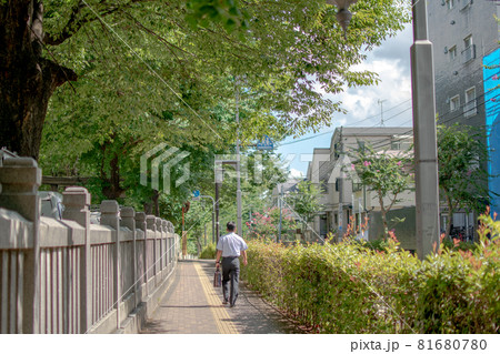 蝉坂/北区上中里 蝉坂/北区上中里 81680780