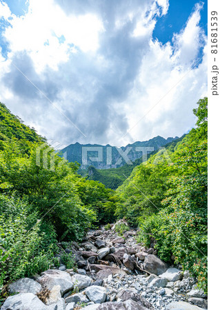 【群馬県】 谷川岳 幽ノ沢への遊歩道 81681539