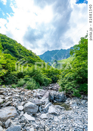 【群馬県】 谷川岳 幽ノ沢への遊歩道 81681540