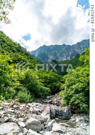 【群馬県】 谷川岳 幽ノ沢への遊歩道 81681543