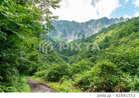 【群馬県】 谷川岳 幽ノ沢への遊歩道 81681552