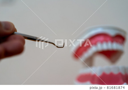 スケーラー 81681874