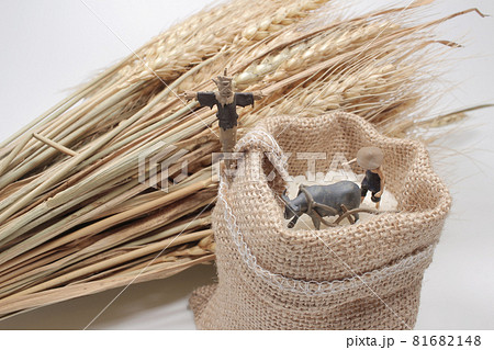 a mini farmer with the Rice in burlap sack 81682148
