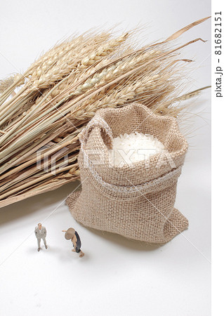 a mini business man and farmer with the Rice in burlap sack a mini business man and farmer with the Rice in burlap sack 81682151
