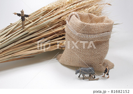 a mini farmer with the Rice in burlap sack a mini farmer with the Rice in burlap sack 81682152