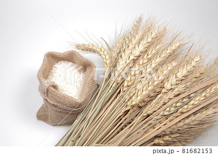 A Rice in burlap sack and dry rice plant 81682153