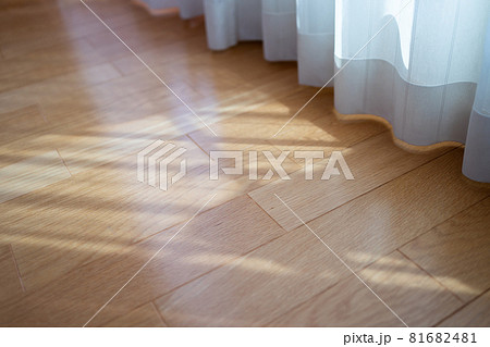 レースカーテンと床 81682481