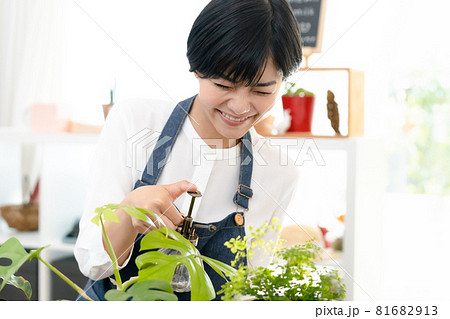 植物の手入れをする女性 81682913