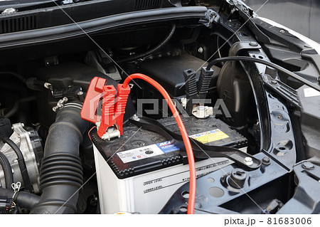 バッテリー上がり救助 81683006