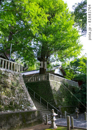 事任八幡宮 事任八幡宮 81683764