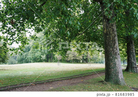 ロンドン市内の初秋の風景 ロンドン市内の初秋の風景 81683985