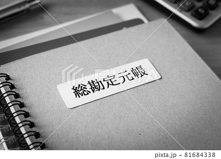 総勘定元帳 経理処理 複式簿記 会計 元帳 総勘定元帳 経理処理 複式簿記 会計 元帳 81684338