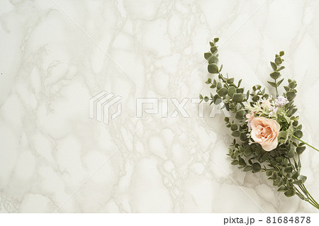 大理石と植物の背景素材 81684878