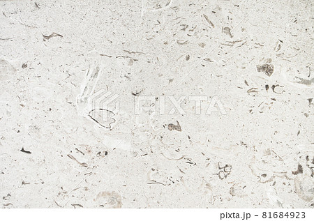 背景_貝殻入りの大理石テクスチャ 背景_貝殻入りの大理石テクスチャ 81684923