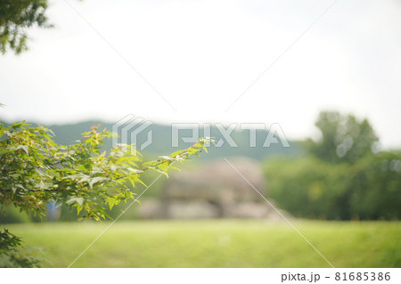 丘　石舞台　オールドレンズ 81685386