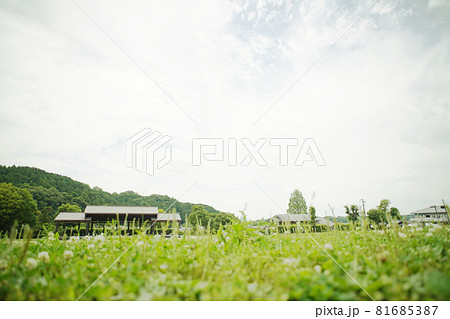 丘　石舞台　オールドレンズ 81685387