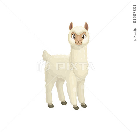 White Lama Guanaco Alpaca Llama Cartoon Animalのイラスト素材