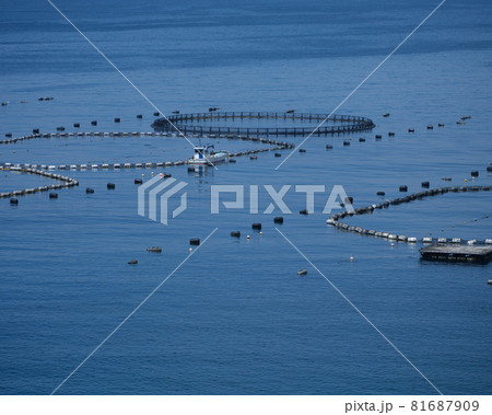 柏島のマグロの養殖場の生け簀と漁船 81687909