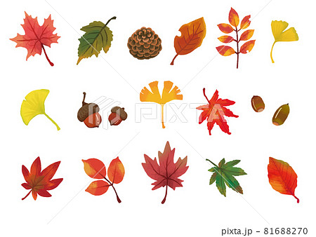 手描き風で絵本ぽいタッチのたくさんの落ち葉 単品 のイラスト素材