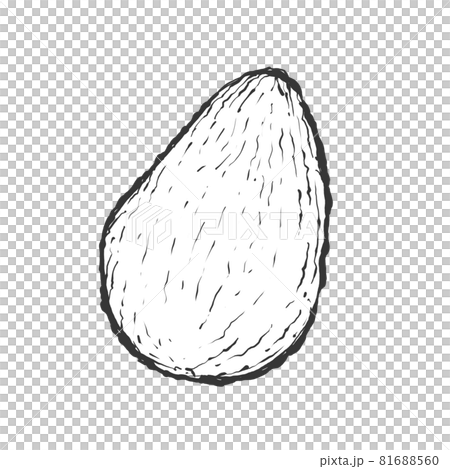 Avocado hand-painted Japanese line art illustration Avocado hand-painted Japanese line art illustration 81688560