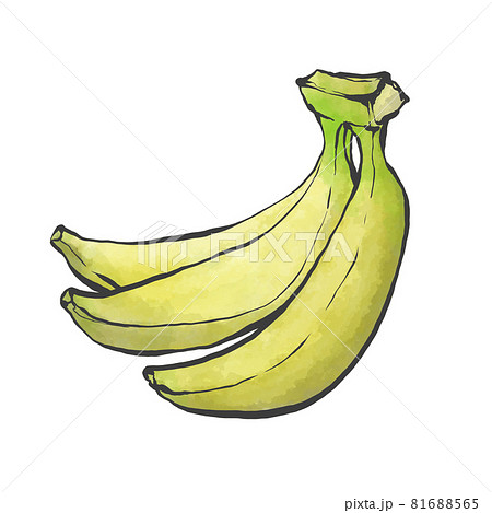 バナナの和風手書きイラストのイラスト素材