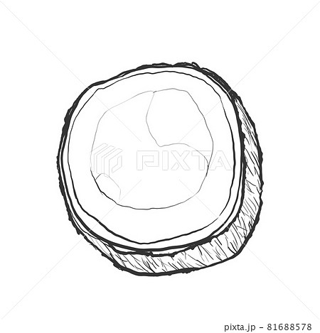 ココナッツの和風手描き線画イラスト 81688578