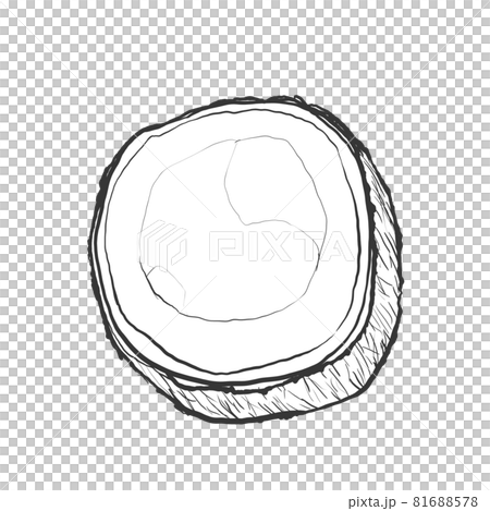 Japanese style hand-drawn line drawing illustration of coconut 81688578