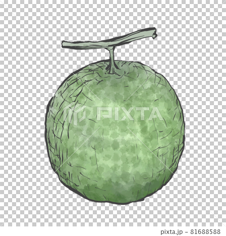 メロンの和風手描きイラスト 81688588