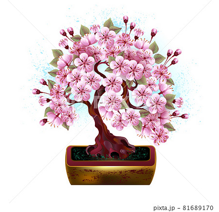 Bonsai pink japanese cherry Bonsai pink japanese cherry 81689170