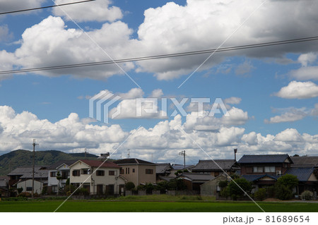 夏雲と田んぼ 夏雲と田んぼ 81689654