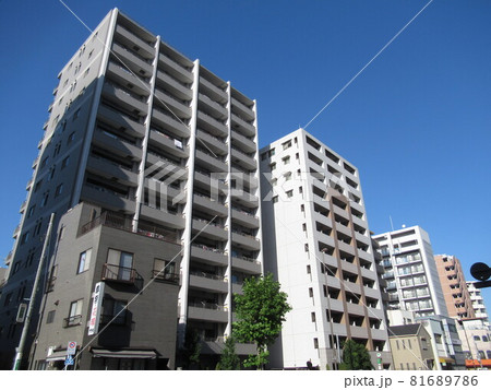 向島二丁目付近 向島二丁目付近 81689786