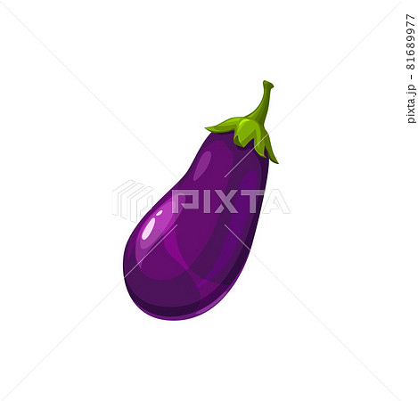Aubergine vegetable eggplant isolate purple squash Aubergine vegetable eggplant isolate purple squash 81689977