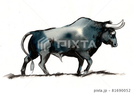 Big black bull. Ink and watercolor drawing 81690052