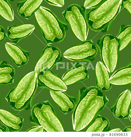 Seamless pattern lettuce Romano on green background. Modern texture with salad. 81690633