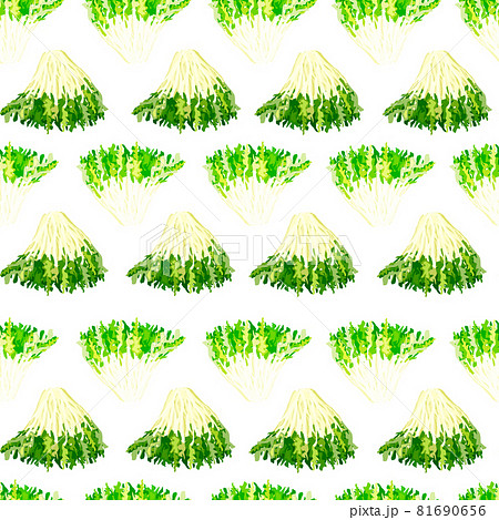 Seamless pattern frisee salad on white background. Simple ornament with lettuce. 81690656