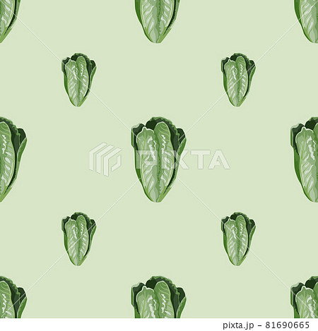 Seamless pattern salad Romano on light green background. Minimalism ornament with lettuce. Seamless pattern salad Romano on light green background. Minimalism ornament with lettuce. 81690665