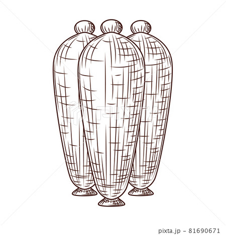 Ceramic vases engraved style isolated on white background. Vintage sketch outline close up. Ceramic vases engraved style isolated on white background. Vintage sketch outline close up. 81690671