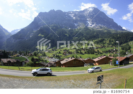 スイス 鶏冠 とさか 81690754