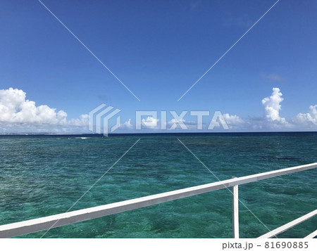 海 81690885