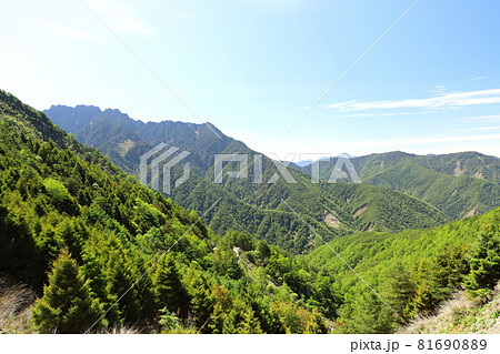 鶏冠 とさか クレスト 81690889