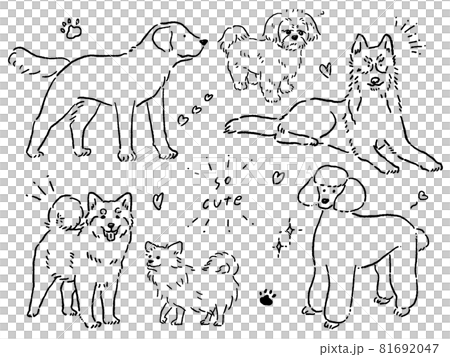 狗圖集 狗圖集 81692047