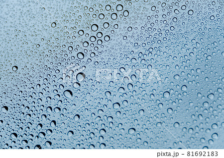車の塗装にはじかれた水滴　洗車　ワックス　雨 81692183