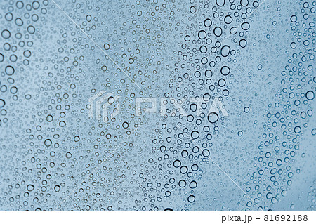 車の塗装にはじかれた水滴　洗車　ワックス　雨 81692188