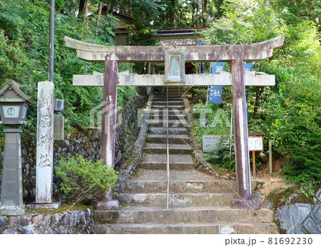 武蔵の里の武蔵神社の境内 武蔵の里の武蔵神社の境内 81692230