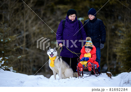Woman with grandchildren in the woods on a walk, pet on a leash in the woods. 81692284
