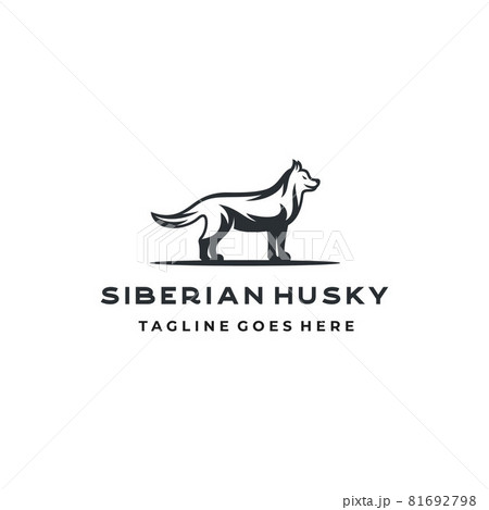 Dog Siberian Husky Logo Design Vector 81692798